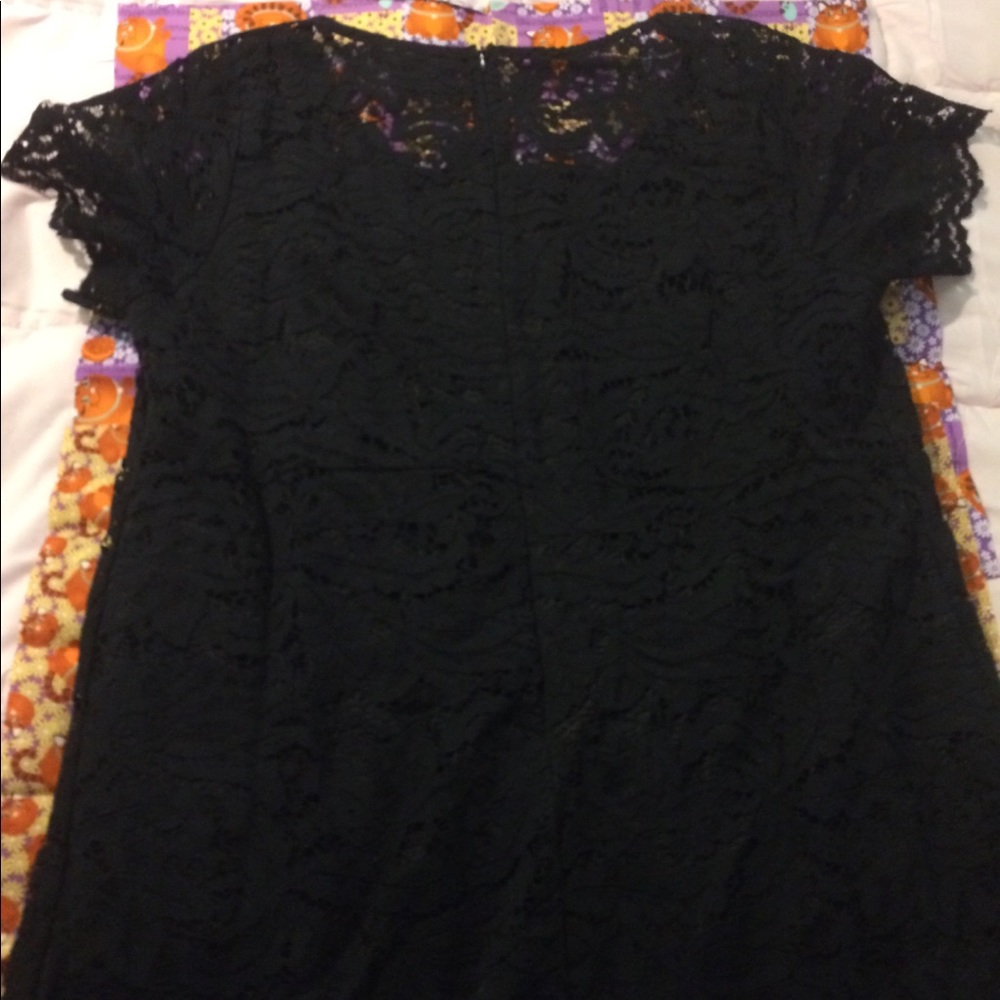 Black Lace Ellos Mini Plus Size Dress